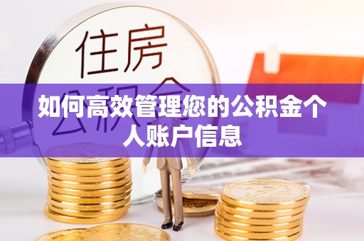 磴口如何高效管理您的公积金个人账户信息
