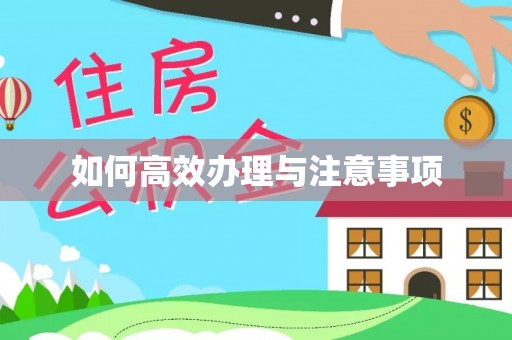 磴口如何高效办理与注意事项