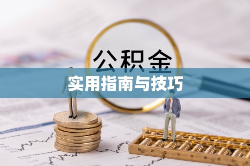 磴口实用指南与技巧