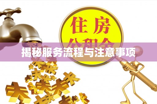 磴口揭秘服务流程与注意事项