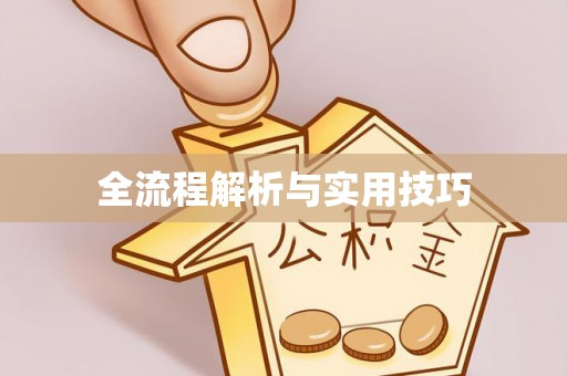 磴口全流程解析与实用技巧