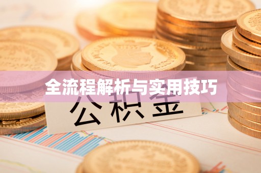 磴口全流程解析与实用技巧