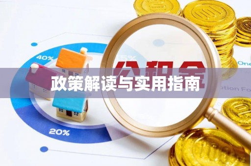 磴口政策解读与实用指南
