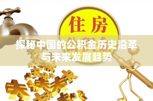 磴口探秘中国的公积金历史沿革与未来发展趋势