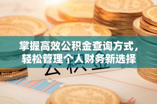 磴口掌握高效公积金查询方式，轻松管理个人财务新选择