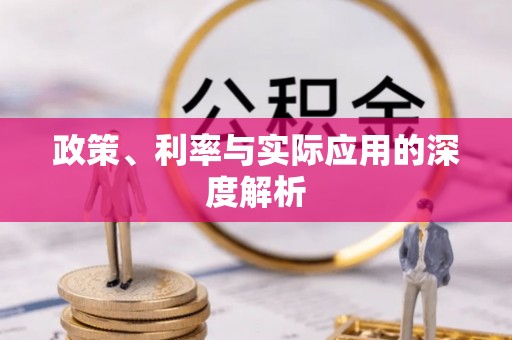 磴口政策、利率与实际应用的深度解析