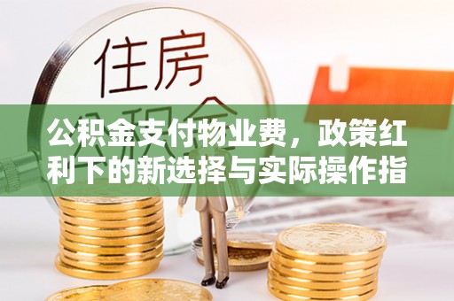 磴口公积金支付物业费，政策红利下的新选择与实际操作指南