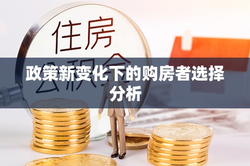 磴口政策新变化下的购房者选择分析