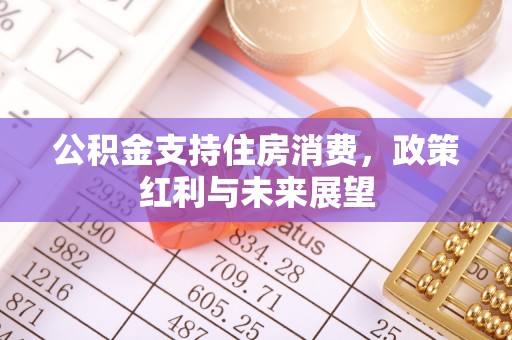 磴口公积金支持住房消费，政策红利与未来展望