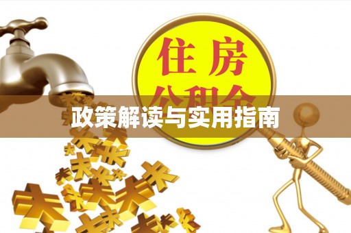 磴口政策解读与实用指南