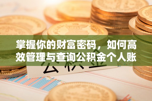 磴口掌握你的财富密码，如何高效管理与查询公积金个人账户信息