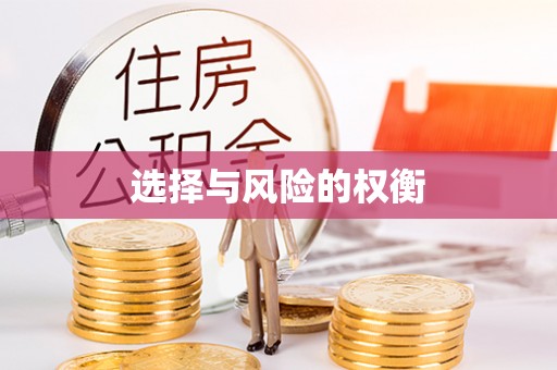 磴口选择与风险的权衡