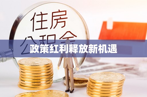 磴口政策红利释放新机遇