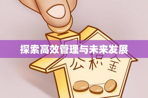 磴口探索高效管理与未来发展