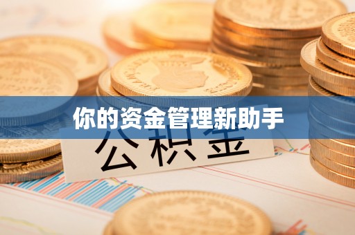 磴口你的资金管理新助手