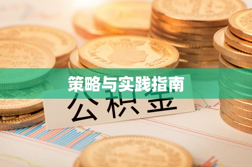 磴口策略与实践指南