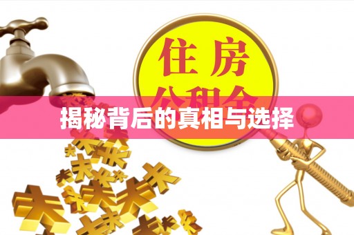 磴口揭秘背后的真相与选择