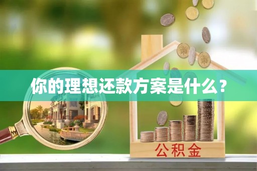 磴口你的理想还款方案是什么？