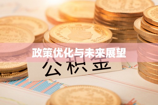 磴口政策优化与未来展望