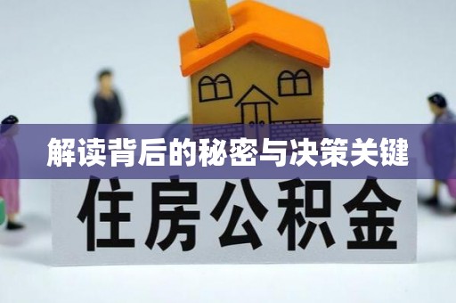 磴口解读背后的秘密与决策关键