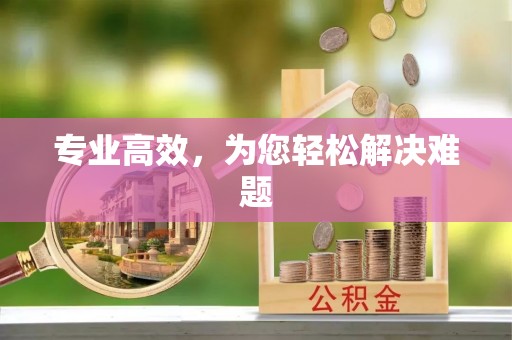 磴口专业高效，为您轻松解决难题