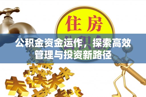 磴口公积金资金运作，探索高效管理与投资新路径