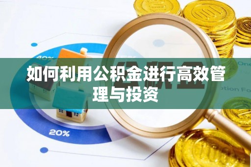 磴口如何利用公积金进行高效管理与投资