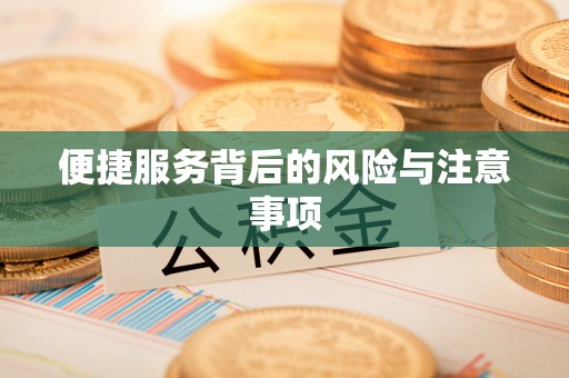 磴口便捷服务背后的风险与注意事项