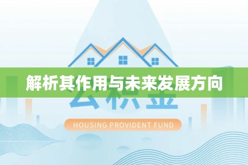 磴口解析其作用与未来发展方向