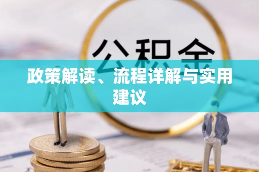 磴口政策解读、流程详解与实用建议