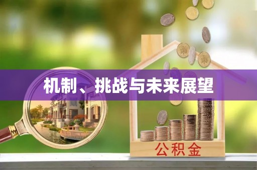 磴口机制、挑战与未来展望