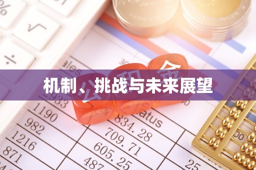 磴口机制、挑战与未来展望